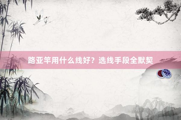 路亚竿用什么线好？选线手段全默契